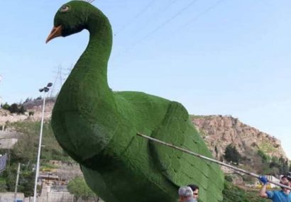 رونمایی از طاووس ترمیم شده در شیراز